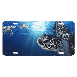 License Plate Turtle